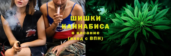 индика Пересвет