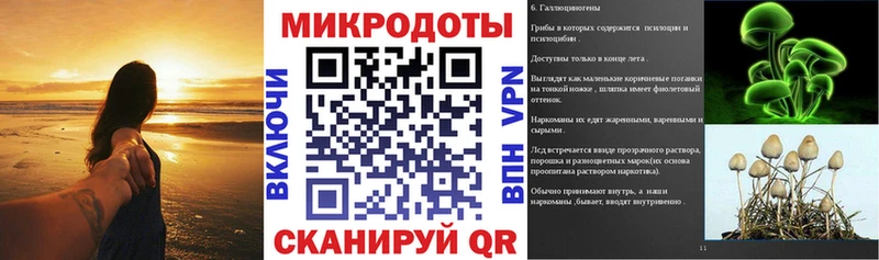 площадка Telegram  Таруса  Псилоцибиновые грибы Psilocybe 